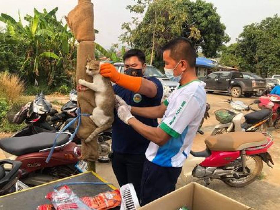 โครงการสัตว์ปลอดโรค คนปลอดภัยจากโรคพิษสุนัขบ้า ตามพระปณิธาน ศาสตราจารย์ สมเด็จพระเจ้าน้องนางเธอ เจ้าฟ้าจุฬาภรณวลัยลักษณ์ อัครราชกุมารี กรมพระศรีสวางควัฒน วรขัตติยราชนารี ประจำปีงบประมาณ 2564 ม.2