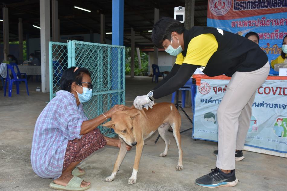 โครงการสัตว์ ปลอดโรค คนปลอดภัยโรคพิษสุนัขบ้าฯ ประจำปี 2565 ม.7,12
