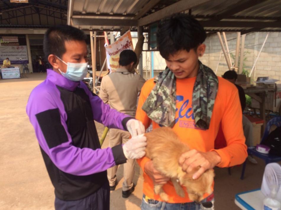 โครงการสัตว์ปลอดโรค คนปลอดภัยโรคพิษสุนัขบ้า ตามพระปณิธาน ศาสตราจารย์ สมเด็จพระเจ้าน้องนางเธอ เจ้าฟ้าจุฬาภรณวลัยลักษณ์ อัครราชกุมารี กรมพระศรีสวางควัฒน วรขัตติยราชนารี ประจำปีงบประมาณ 2564  ม.4